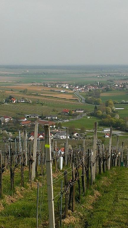 Eisenberg an der Pinka Kellerstoeckl Kamperヴィラ エクステリア 写真